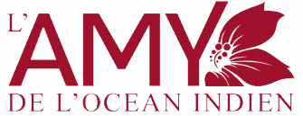 Lancement des Trophées des Arts & des Talents de l’Océan Indien 2025 | Appel à Candidature