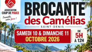 Brocantedescamelias